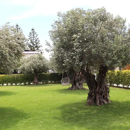 Vabel Skiathos Town